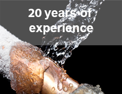 20 years of experience